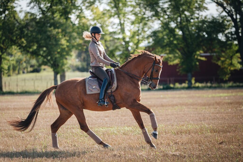 Stallplats nära Uppsala & Stockholm